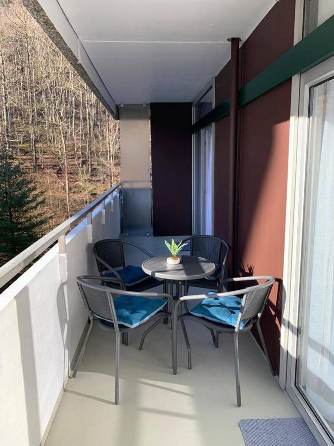 Mariposa 3 Incl Pool & Sauna Bad Harzburg Eksteriør bilde