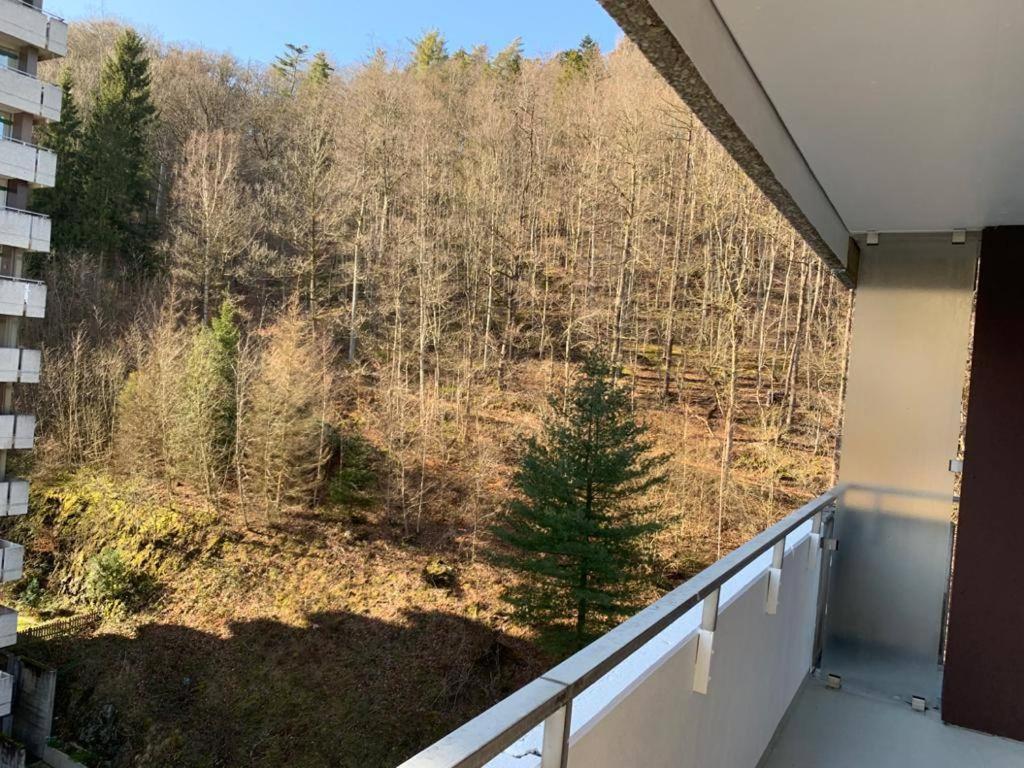 Mariposa 3 Incl Pool & Sauna Bad Harzburg Eksteriør bilde